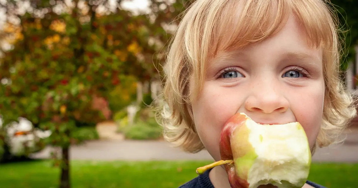 Back to School and Daycare: Tips from Our Clinic for Autumn Immunity